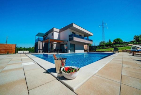 Villa Viktoria with private pool, barbecue, gym, children's playground